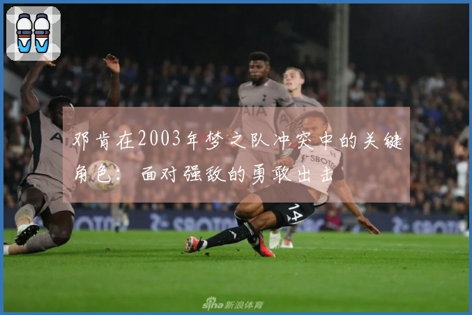 邓肯在2003年梦之队冲突中的关键角色：面对强敌的勇敢出击